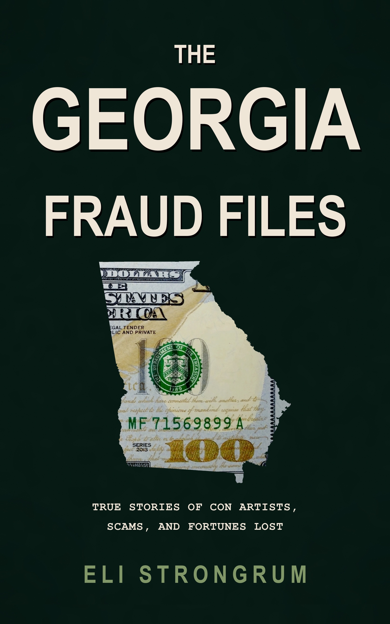 The Georgia Fraud Files by Eli Strongrum, book cover