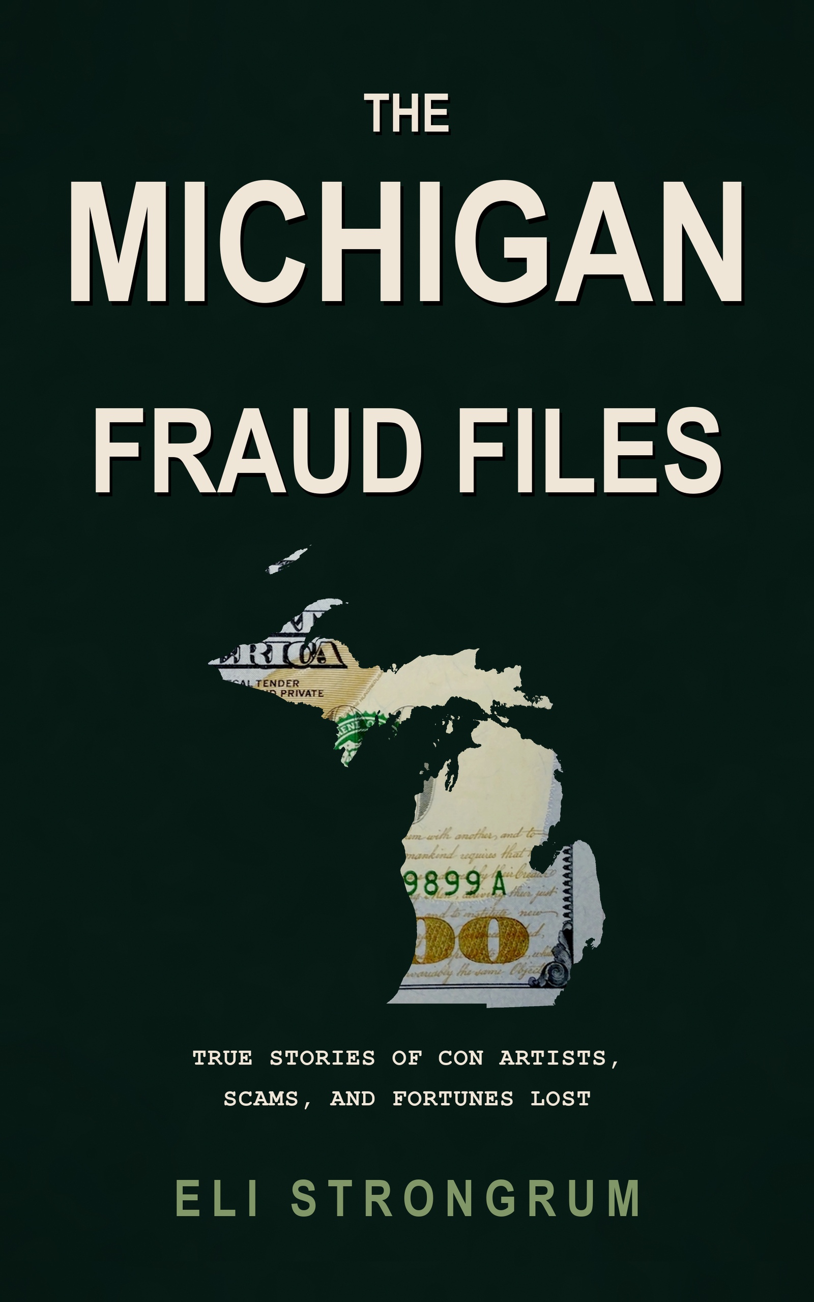 The Michigan Fraud Files by Eli Strongrum, book cover