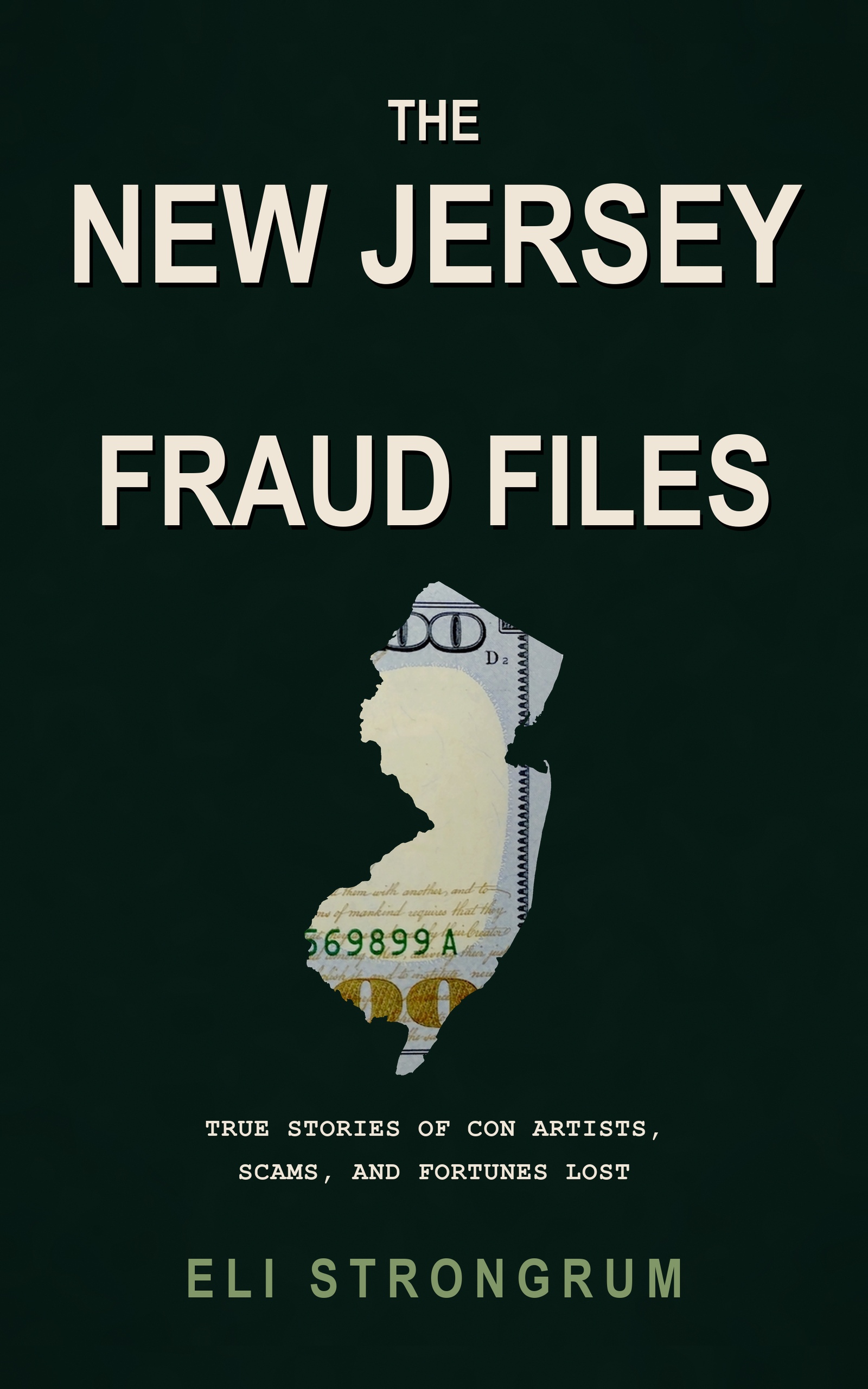 The New Jersey Fraud Files by Eli Strongrum, book cover