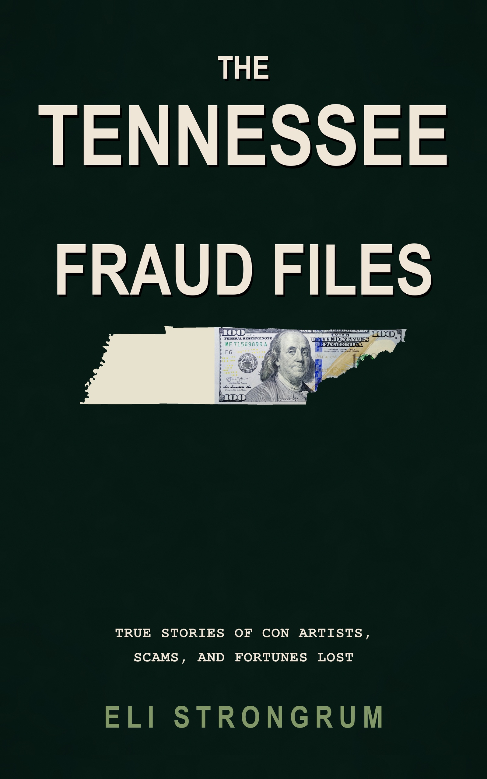 The Tennessee Fraud Files by Eli Strongrum, book cover