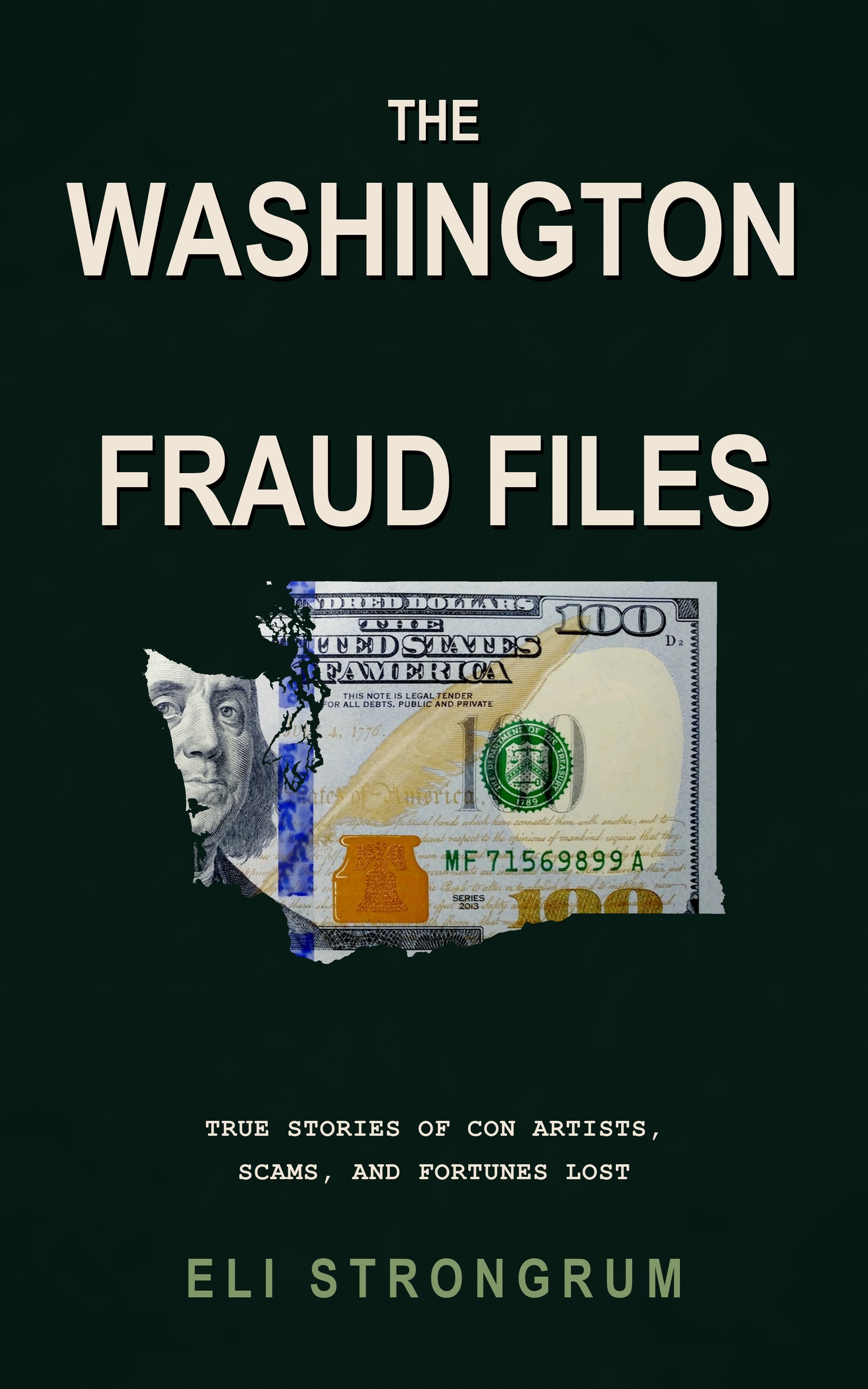The Washington Fraud Files by Eli Strongrum, book cover
